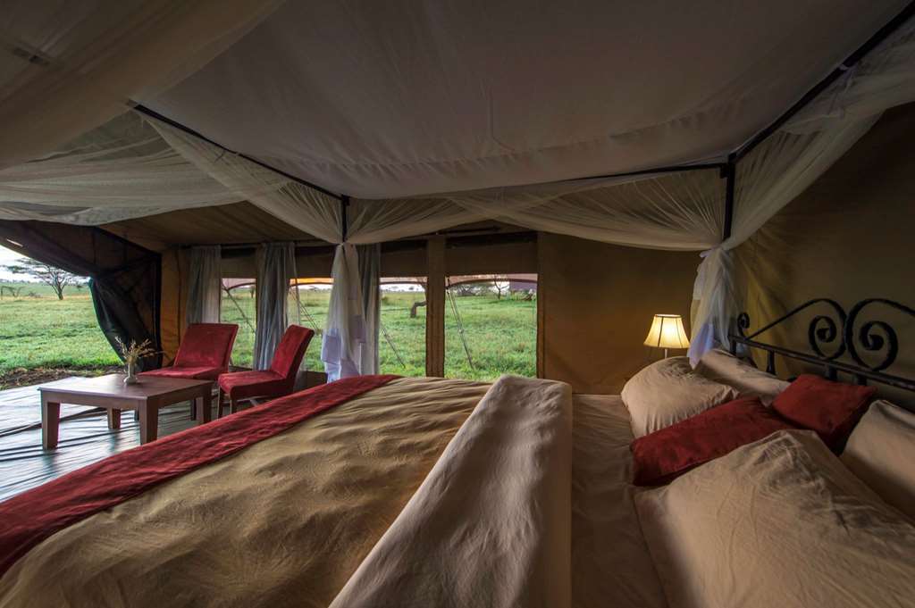 Karibu Camps And Lodges Sametu Camp Serengeti Robanda Oda fotoğraf